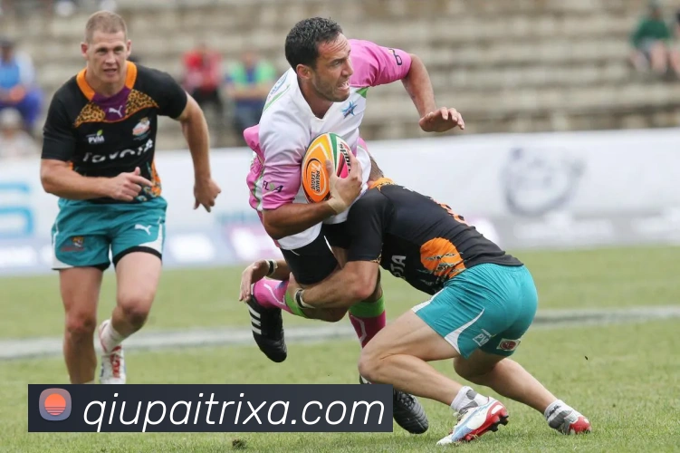 球派体育服务体系